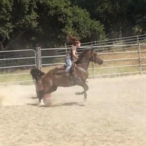 Meet your Posher, Emma